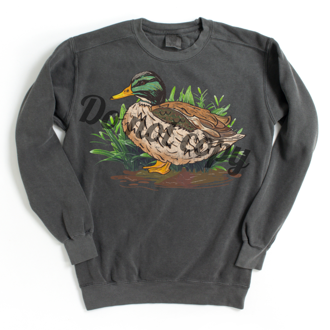 Mallard Duck