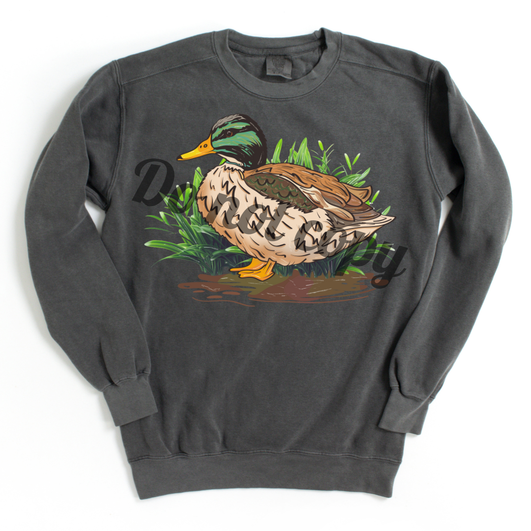 Mallard Duck