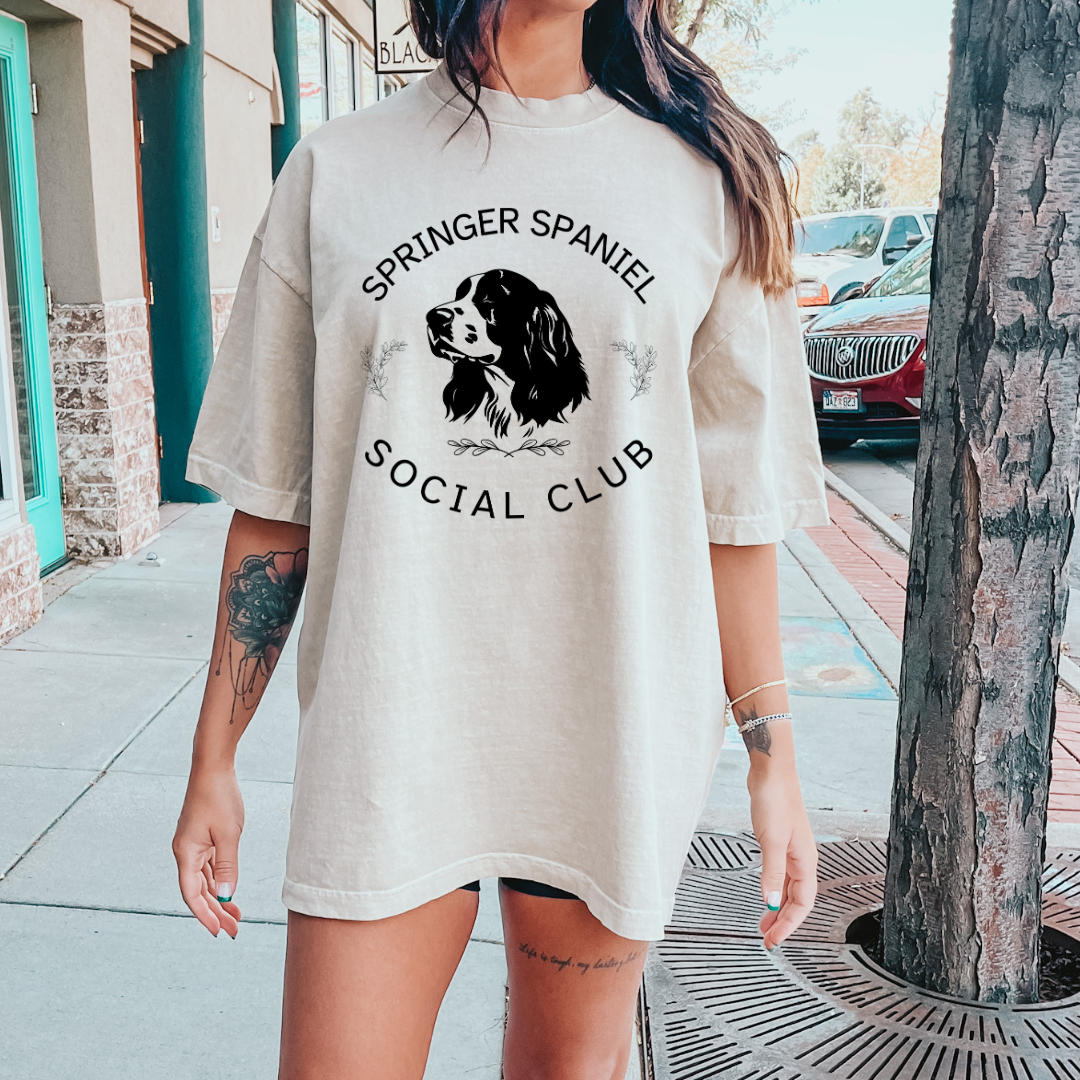 Springer Spaniel Social Club