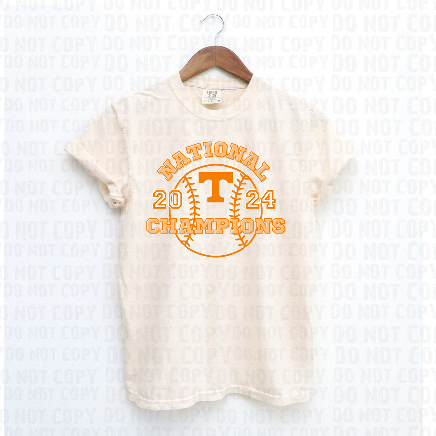 Champs VOLS Baseball