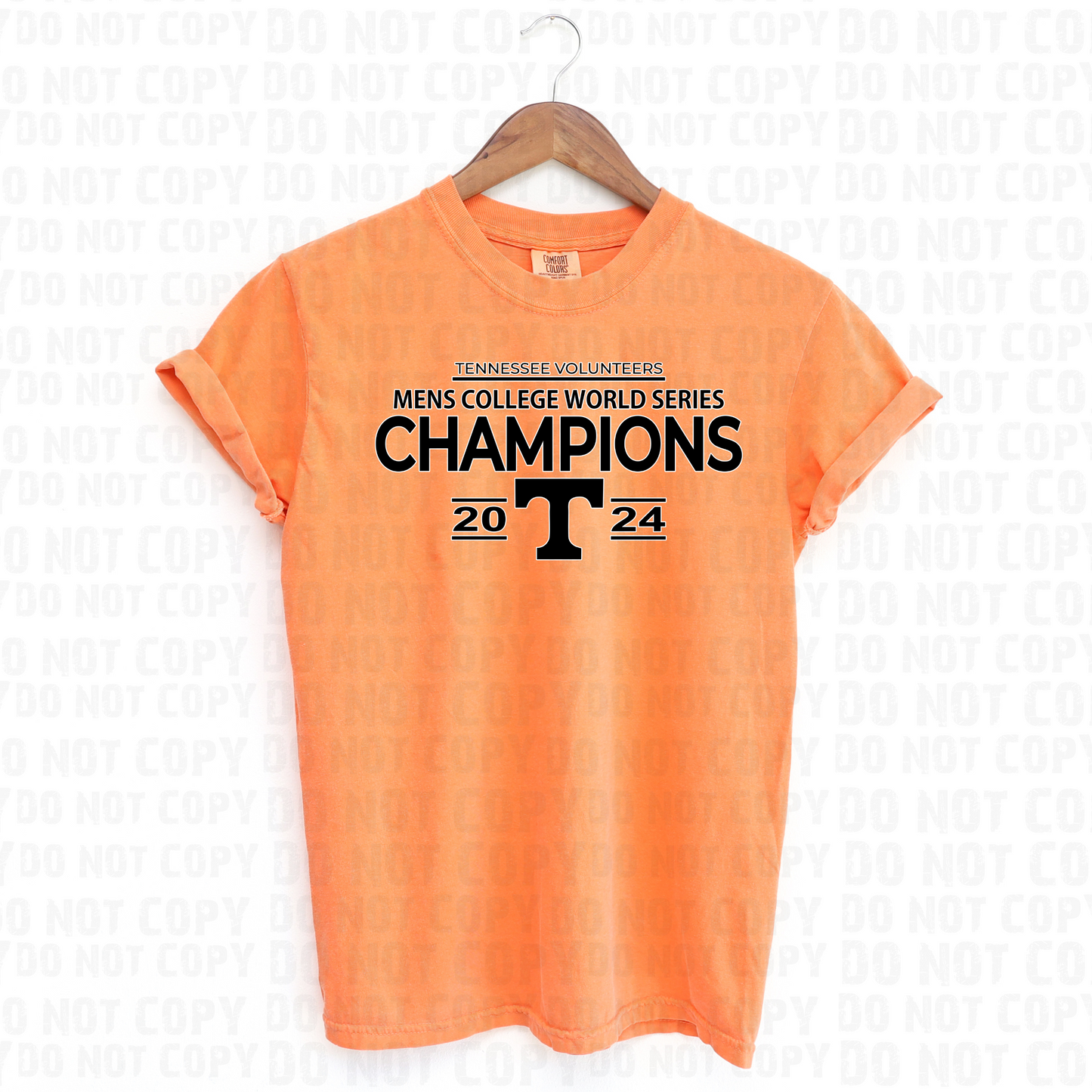 VOLS baseball champions- white and black