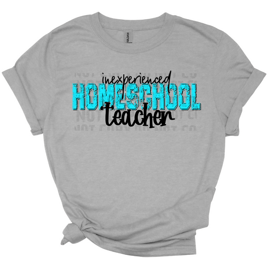 Inexperienced Homeschool Teacher