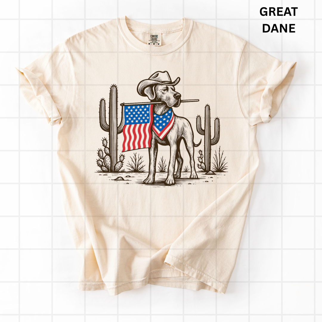 Patriotic Labrador