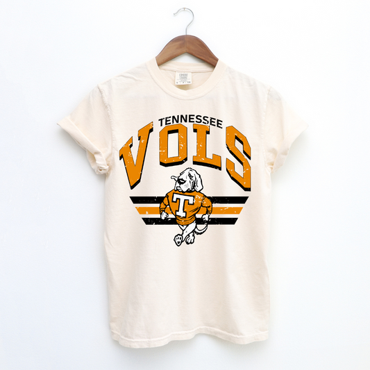 TN Vols Vintage