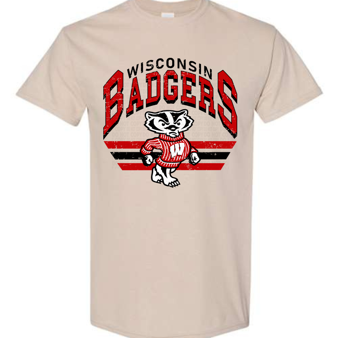 Wisconsin Badgers Vintage