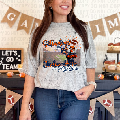 Saturdays in the Stadium - Auburn