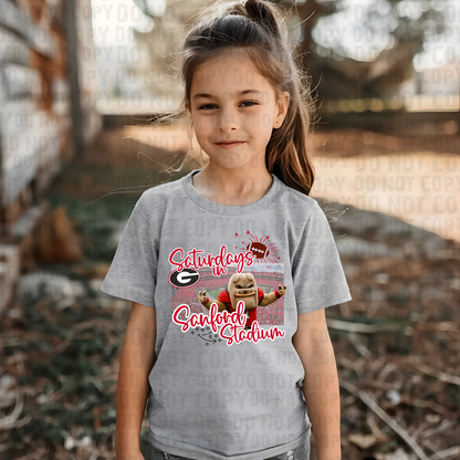 Saturdays in the Stadium - Georgia