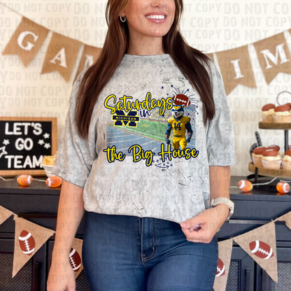 Saturdays in the Stadium - Michigan