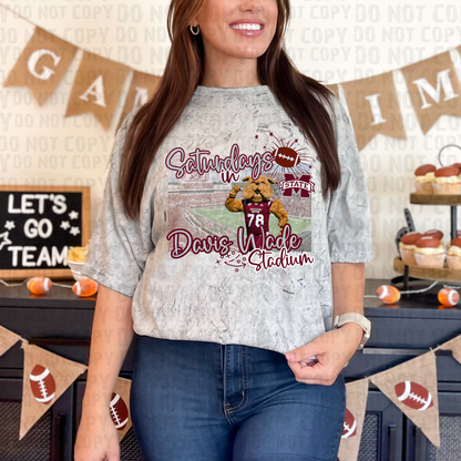 Saturdays in the Stadium - MSU