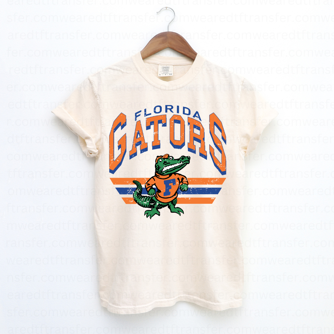 FL Gators Vintage