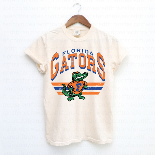 FL Gators Vintage